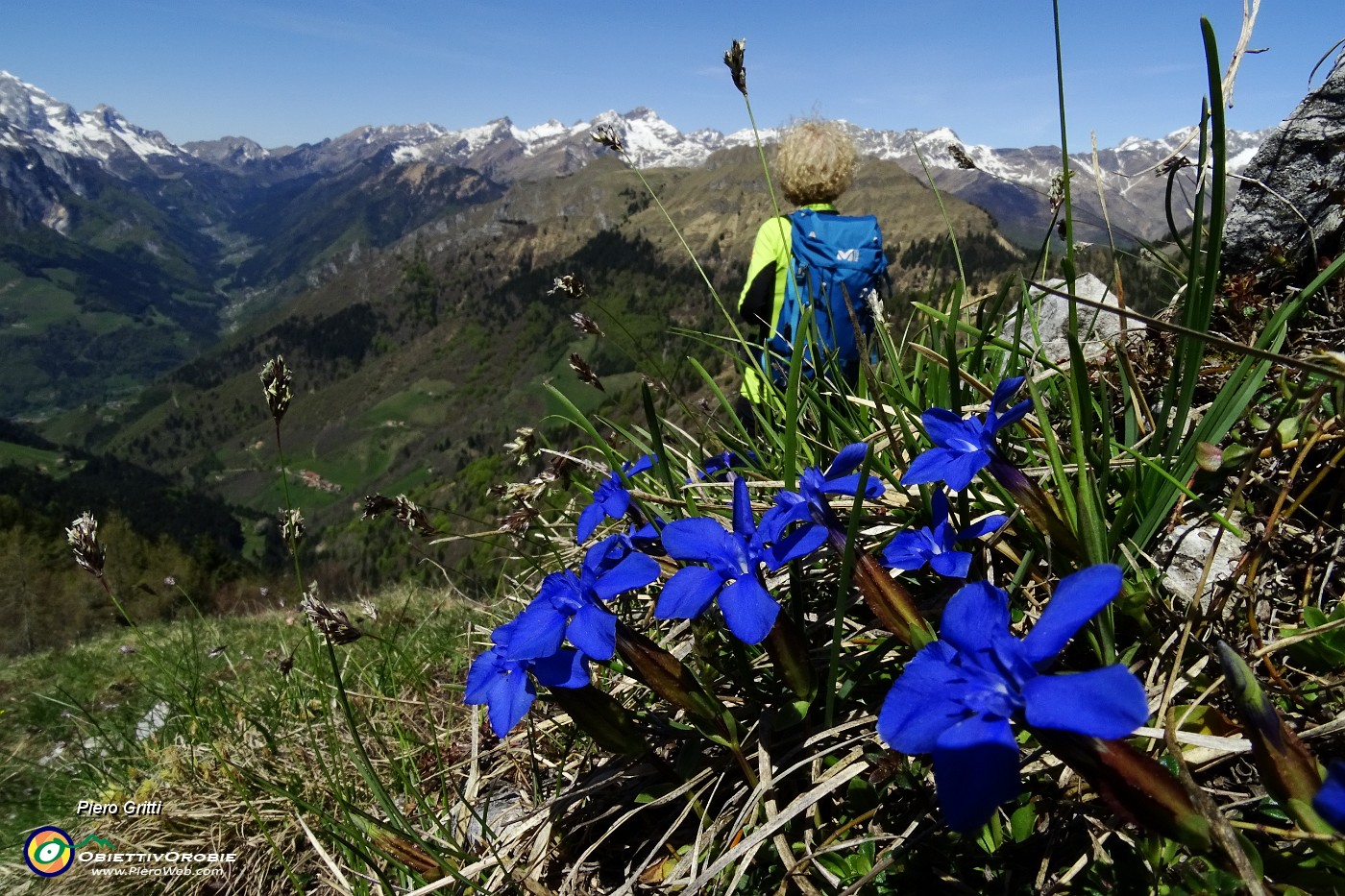 40 Genziana di Clusius salendo al Monte Spigla.JPG